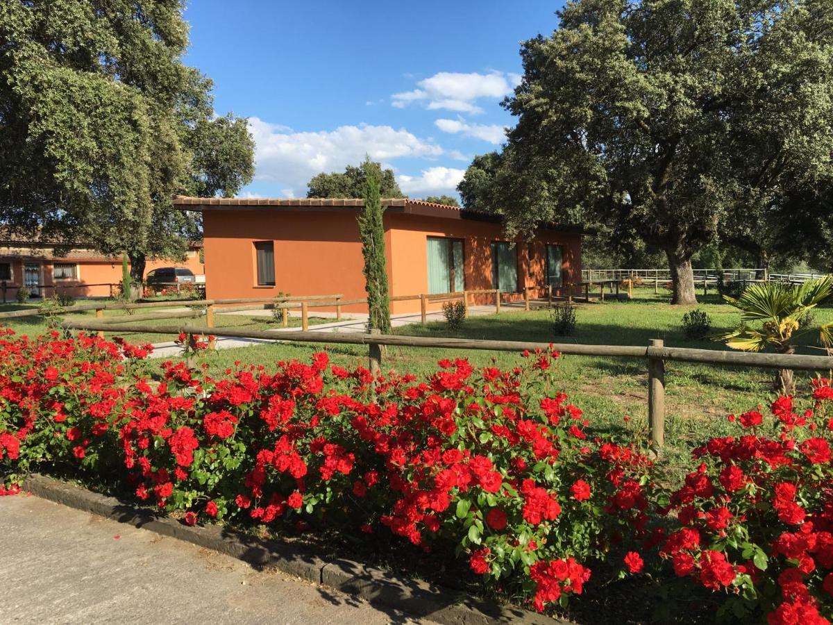 Finca Casaes Apartamentos Torralba de Oropesa Bagian luar foto